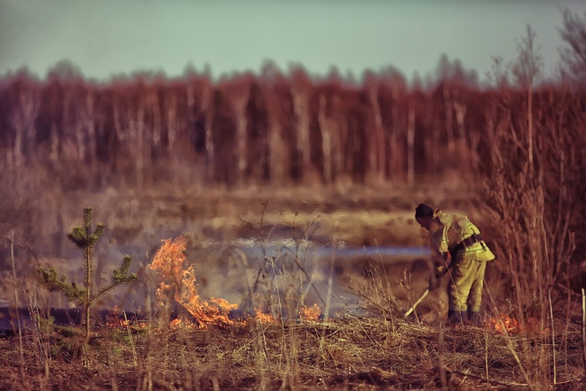ecofire: apagando un fuego en el campo